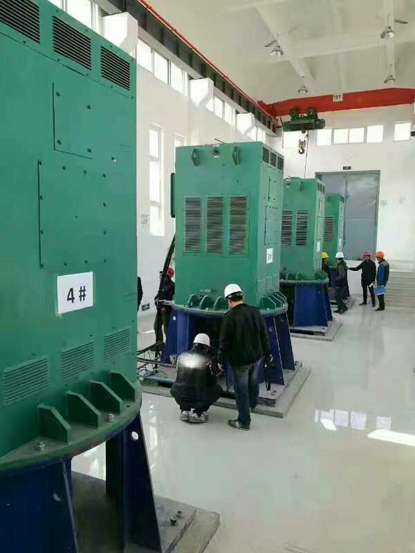 Y5003-10某污水处理厂使用我厂的立式高压电机安装现场