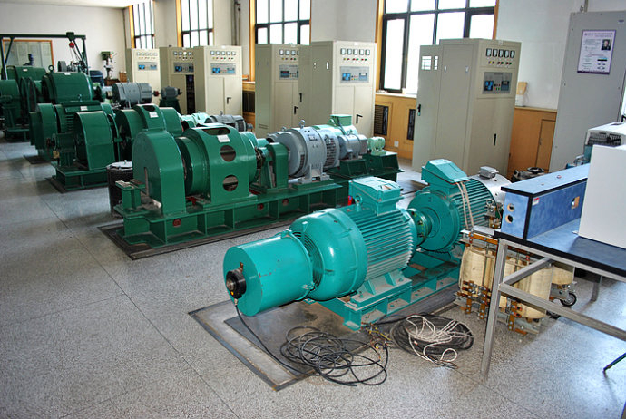 Y5003-10某热电厂使用我厂的YKK高压电机提供动力