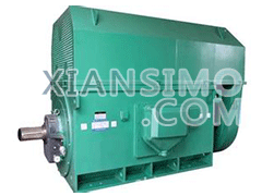 Y5003-10YXKK(2极)高效高压电机技术参数
