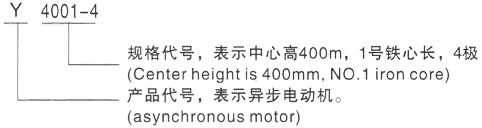 西安泰富西玛Y系列(H355-1000)高压Y5003-10三相异步电机型号说明