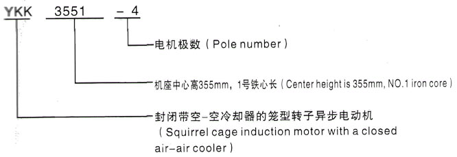 YKK系列(H355-1000)高压Y5003-10三相异步电机西安泰富西玛电机型号说明